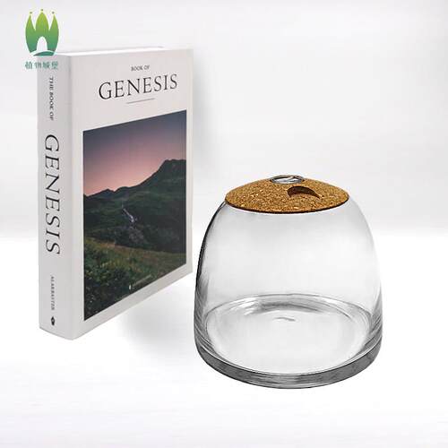 植物城堡苔藓微景观玻璃瓶水草缸容器DIY生态瓶闷养罐DIY带盖子空
