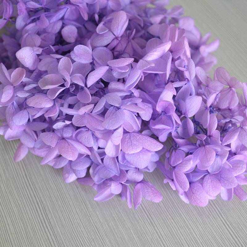 中小叶塔状A级木绣球永生花花材七夕圣诞节情人节生日礼盒配材