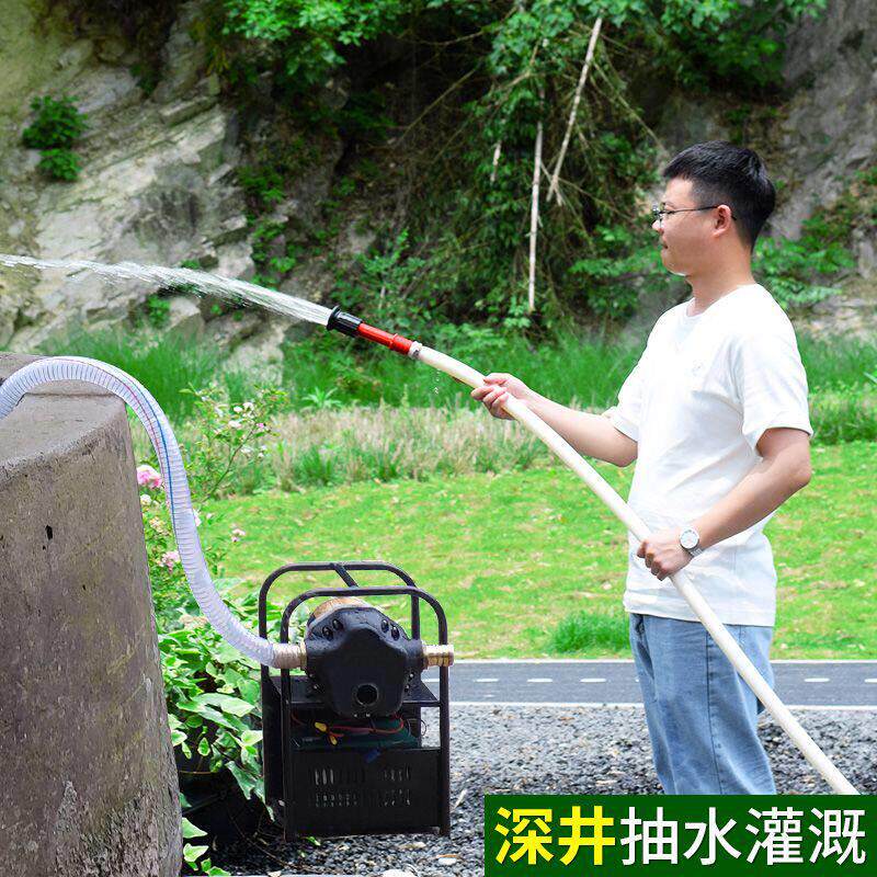 充电浇菜水泵大功率户外农用灌溉抽水机家用12v高压大流量抽水泵