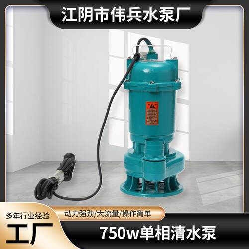 750w单相清水泵抽水机灌溉排污泵220v铸铁单相污水潜水电泵
