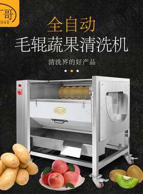 广东迈丁哥清洗去皮一体机猕猴桃去皮快速清洗清洗机