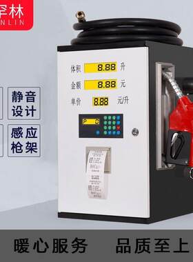 12V24V220V伏车载加油机全自动定量柴油小型带计量器跳枪泵抽油机
