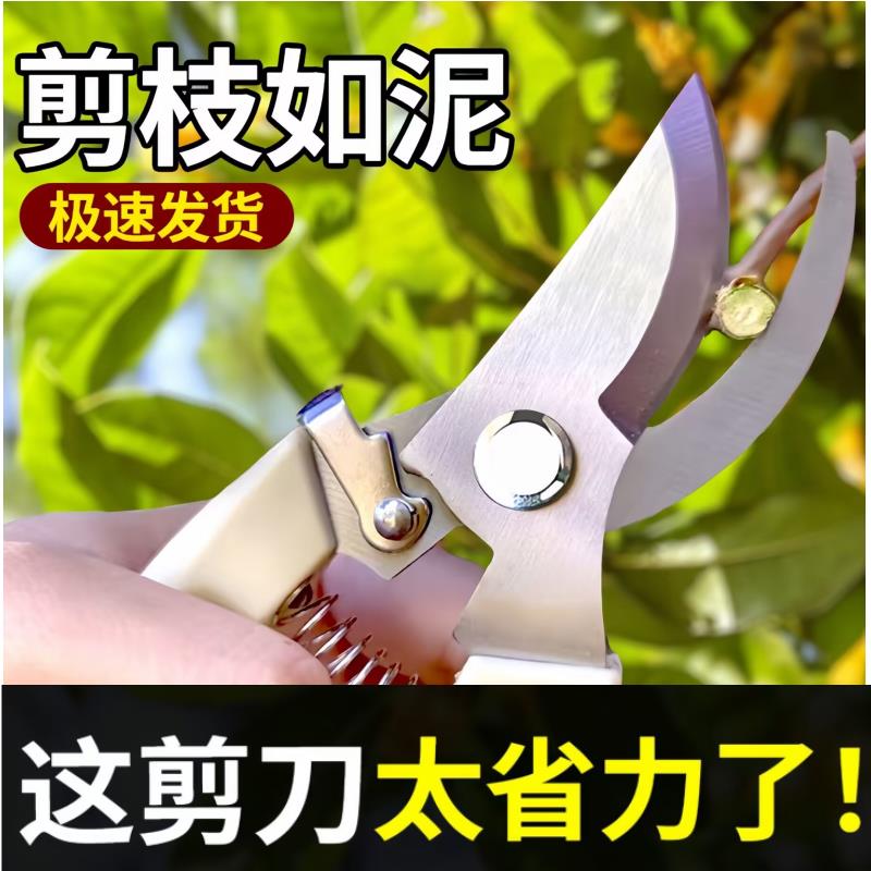 德国花艺师专用剪刀修枝剪不锈钢强力园林园艺采摘省力修花修剪树
