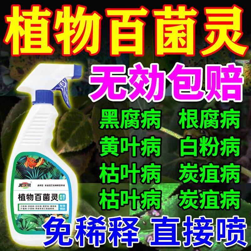 植物多菌菌灵百菌灵花卉白粉炭疽黄叶斑黑斑病专用除菌花病康喷剂