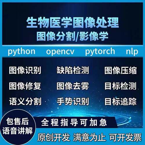Python代程式设计医学图像分割视觉深度学习语义分割目标检测图像