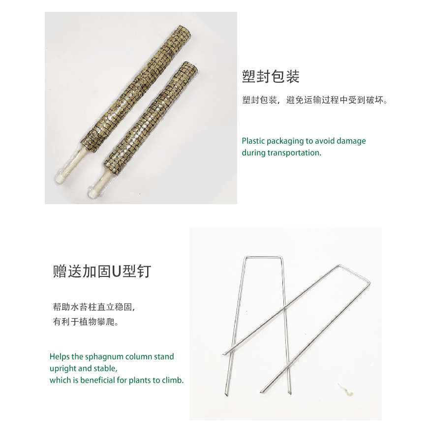 ll水苔柱植物攀爬支撑水苔杆秋海棠绿萝苔藓棒白锦龟背竹海芋水苔