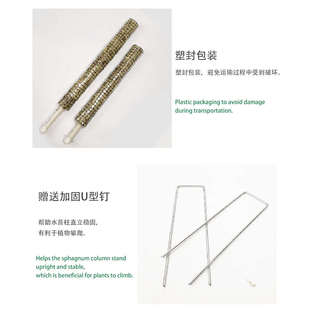 ll水苔柱植物攀爬支撑水苔杆秋海棠绿萝苔藓棒白锦龟背竹海芋水苔