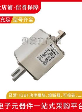 170M5258/5259/5260/5261/5262/5263/5264/5265全新熔断器现货