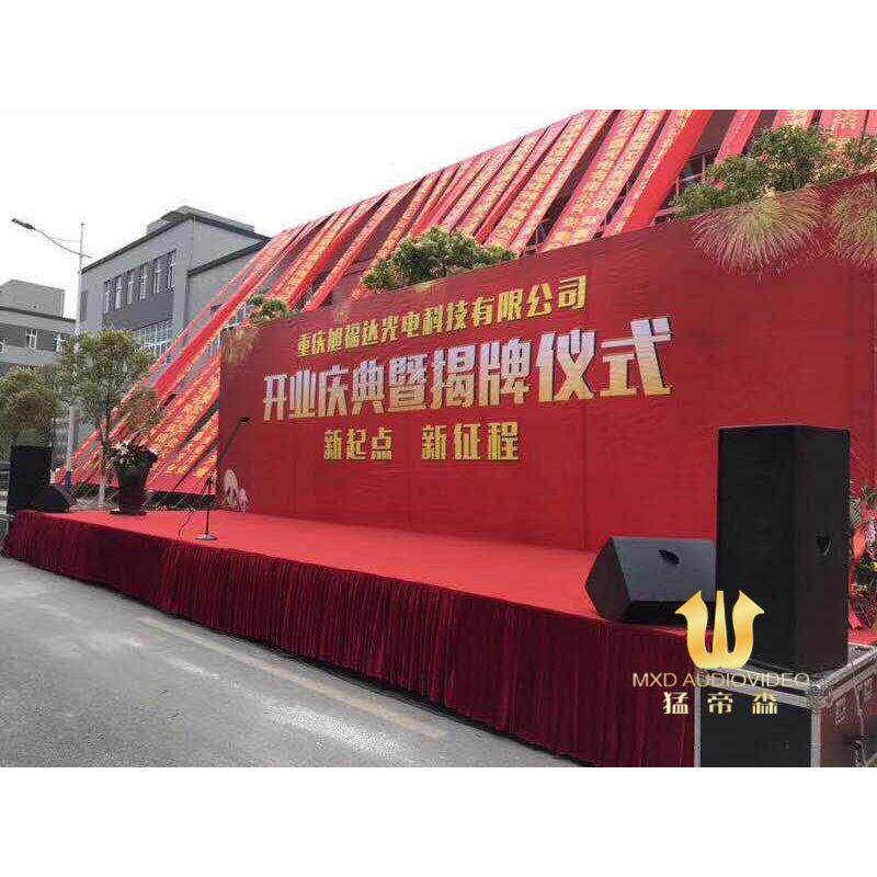 RT15专业音响双15寸进口单元全频音箱 舞台演出音箱 户外婚庆音响
