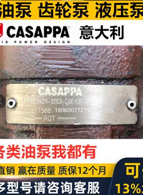 CASAPPA意大利凯斯帕液压齿轮泵S FP HDP 10 20 35 40 30马达油泵