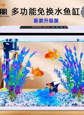 025新款小型家用客厅式鱼缸生态造景套VIF一体玻璃鱼缸懒箱人水2