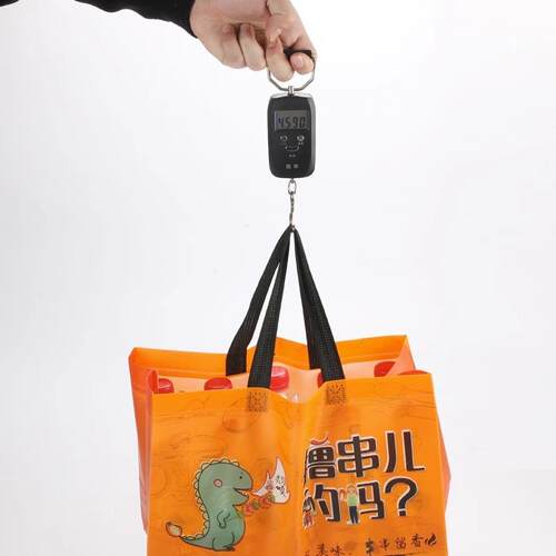 烧烤外制卖打纺包袋FSZ无布定小龙虾防水铝箔保温袋包装手提定做