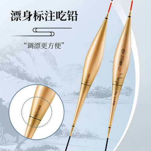 仙女浮漂醒目坑水晶黑鱼程鲤罗批发小凤摩芦苇灵敏漂非行逆光鲫尾