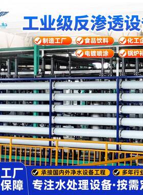 工业双级反渗透设备食品化工电镀锅炉补给水 RO 水处理纯净水设备