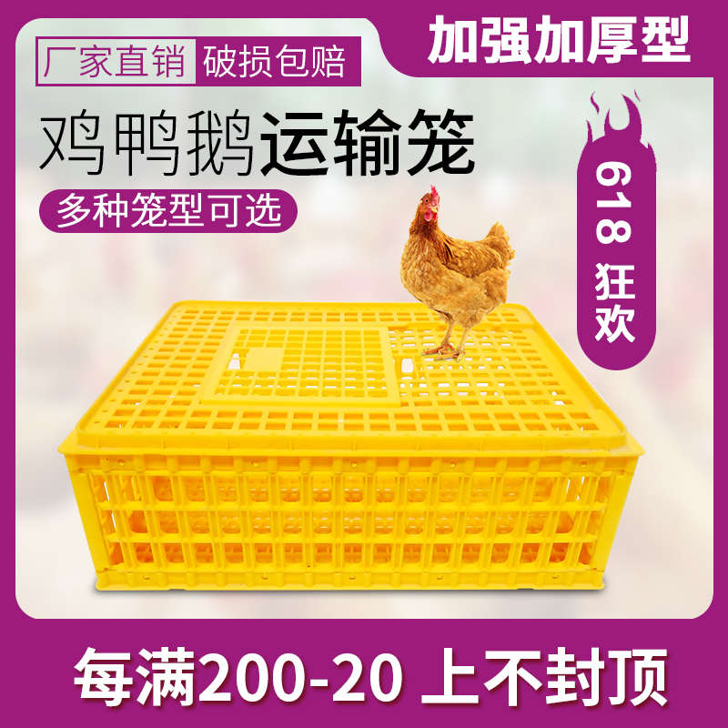 鸡笼塑料周转箱 鸡笼子运输家用特大号养殖鸭筐 加厚胶框成兔鸽鹅