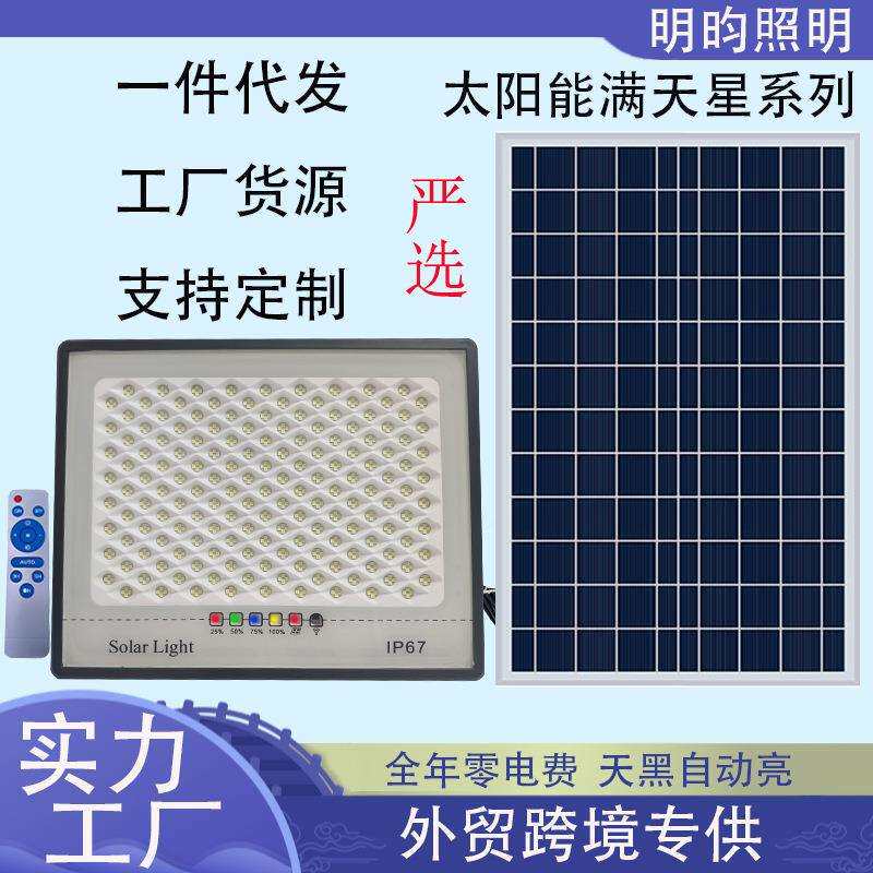 新款超亮灯户外庭院灯家用花园投光灯防水照明户外灯