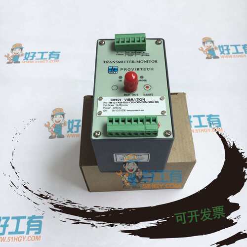 派利斯TM101-A06-B01-C00-D00-E00-G00-H00振动变送保护表