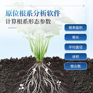平IN-GXY面原根系分析仪分辨率根系位高动态监测系统根系设监测备