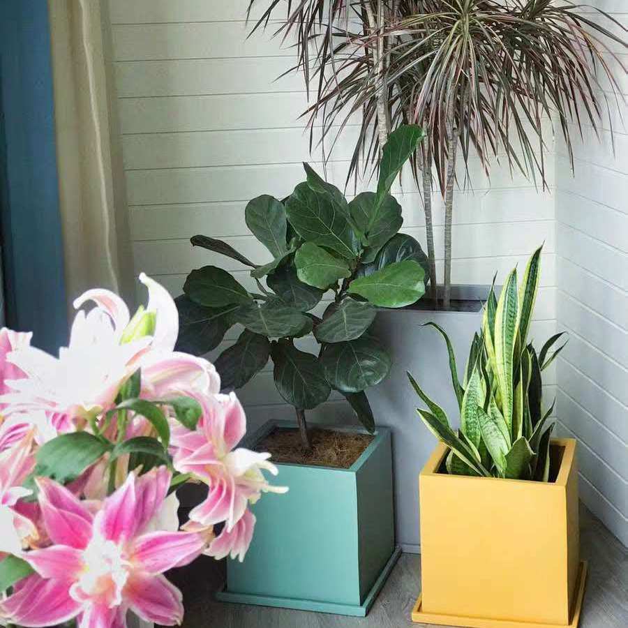 绿现代花盆北欧植风格方兰迪特大号花盆莫水泥ins陶瓷大号氧化镁