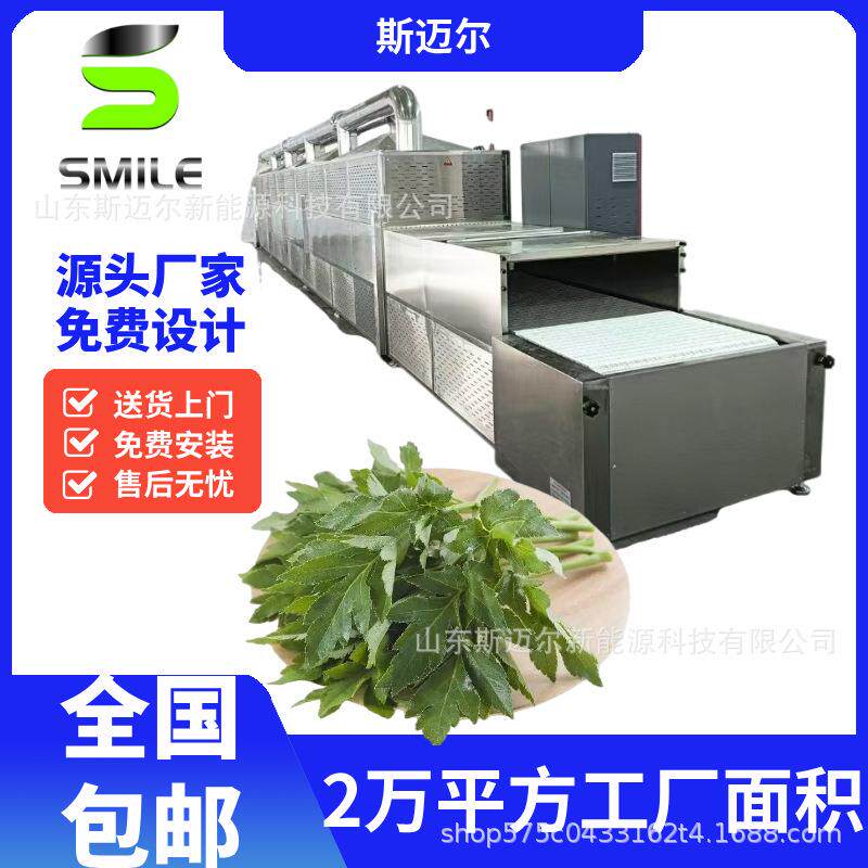 大型食叶草烘干机蛋白草氨基酸草脱水干燥设备长寿草干燥厂家