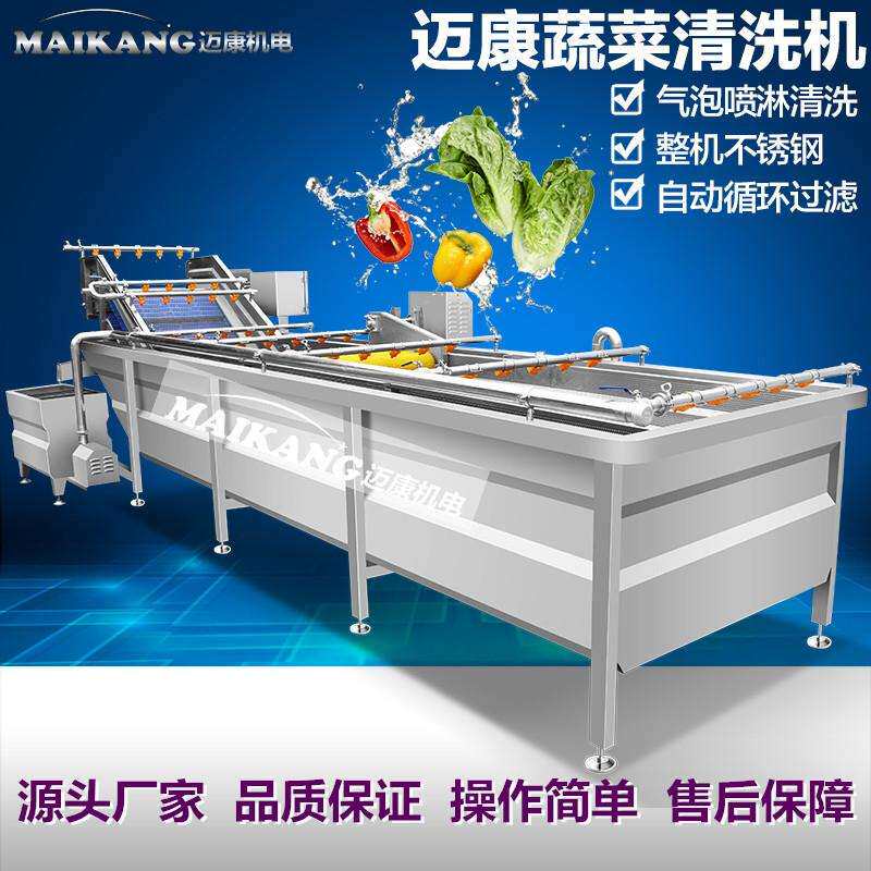 海枣清洗风干设备气泡喷淋椰枣清洗设备水果清洗风干流水线