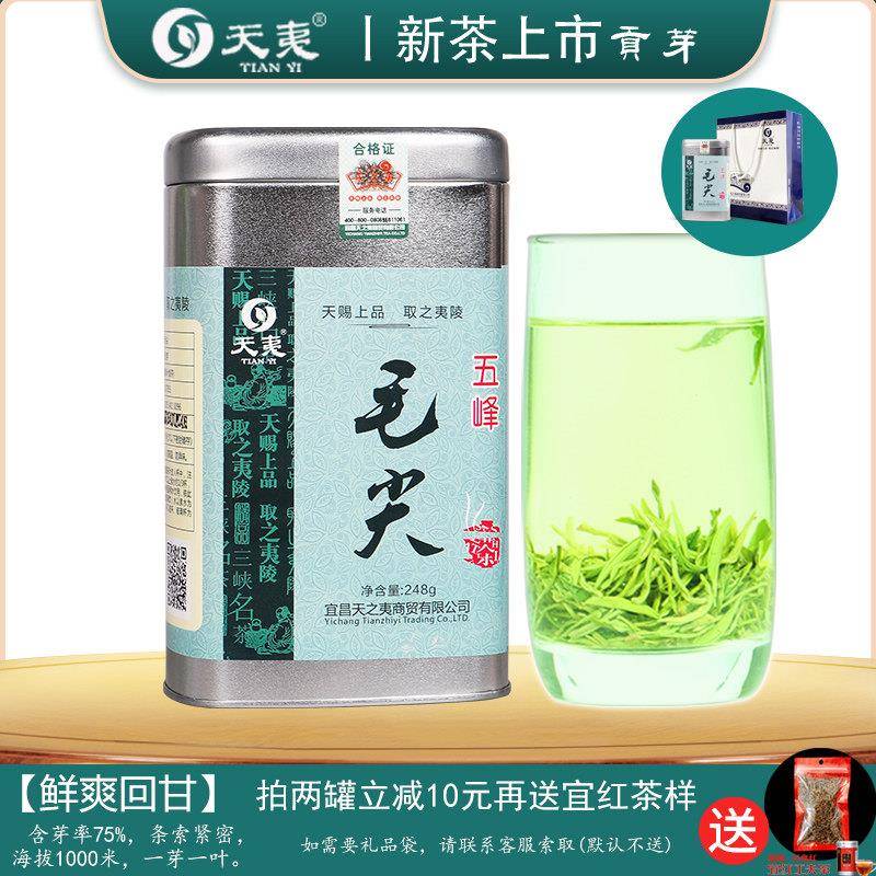 2025新茶【贡芽】五峰毛尖250g湖北宜昌绿茶采花芽毛尖明前特级