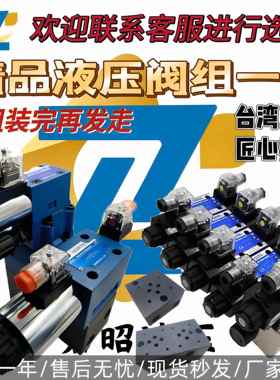 精品液压阀块组4WE6电磁换向阀 DSG液压阀 DBW溢流阀集成组合配件