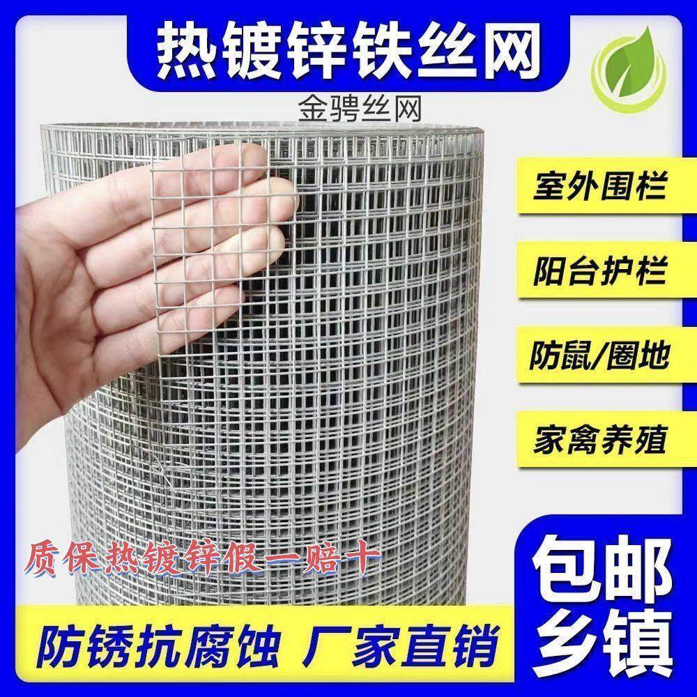 热镀锌铁丝网防绣钢丝网围栏鱼塘防护网大眼鸡栏栅铁丝网格漏粪网