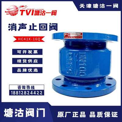 天津塘沽阀门消声止回阀HC41X-16不锈钢铜芯法兰单向阀DN50100150