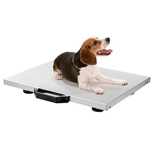 源头厂家金属宠物电子秤 300KG包裹秤大台面电子体重秤快递邮政