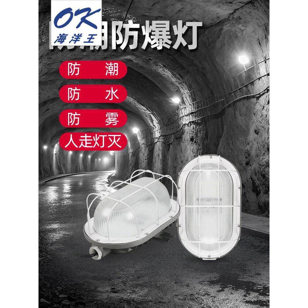 海洋王防潮防爆灯壁挂声控感应吸顶led防水灯防雾贴墙三防配电间