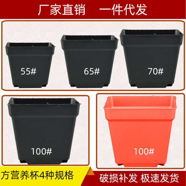 杯色基地厂肉直供钵花盆盆栽多价黑红方型培植塑料花卉育苗]营养[