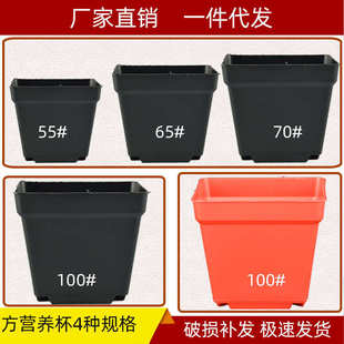 方型营养杯塑料花盆钵盆栽花卉基地多肉育苗培植黑红色[厂价直供]