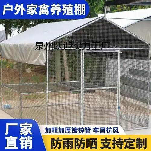 鸡棚鸡舍特大号户外养鸡防雨鸡笼家用家禽孔雀养殖大型搭建鸽笼