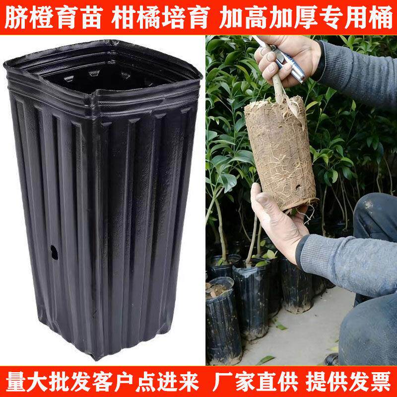 柑橘育苗钵加厚塑料营养袋方口脐橙育苗营养钵厂家直销育苗袋提根