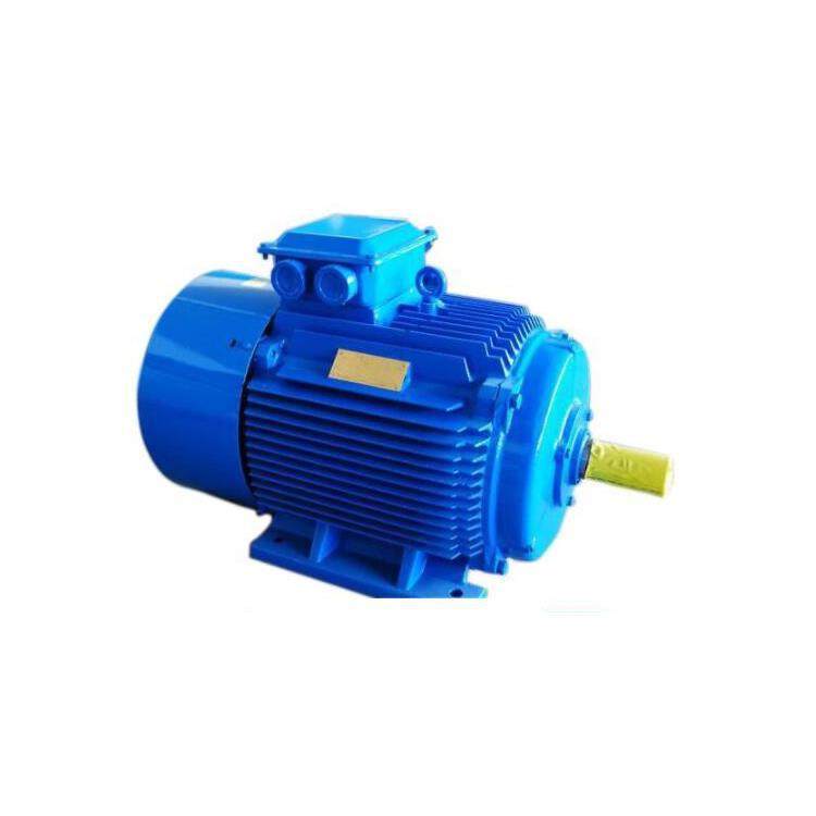 厂家直销永磁同步电机 CYD112M-1000电机