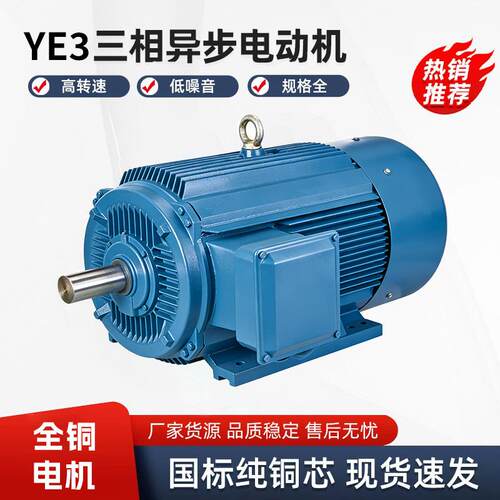 三相异步交流电动机 YE3-200L2-6 22KW铜芯马达 封闭式设计