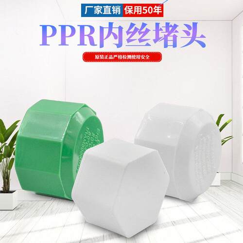 PPR内丝堵头六角内牙堵头管堵管帽204分25 6分1寸PPR水管管件配件