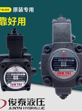 JUNTAI俊泰油泵VP-SF-40-D 30-D 120KG公斤叶片泵 20 15 12 A B C