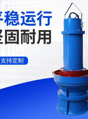 雨水收集防洪排涝泵350QZB-70-18.5KW潜水轴流泵雪橇式轴流泵