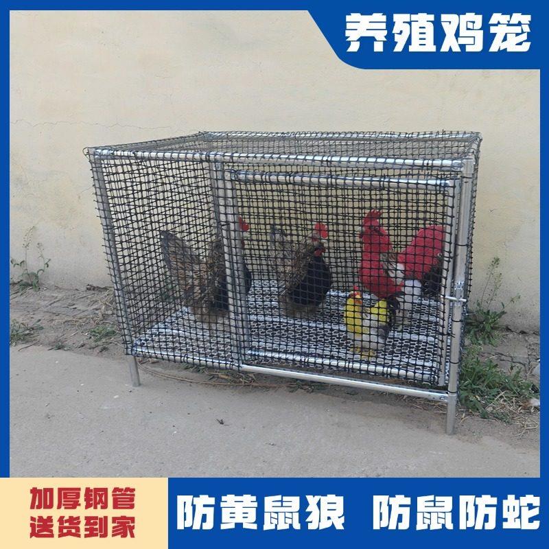 鸡笼家用养鸡笼大号养鸡棚鸡窝宠物笼家禽鸡笼子组装鸽舍养兔养鸭