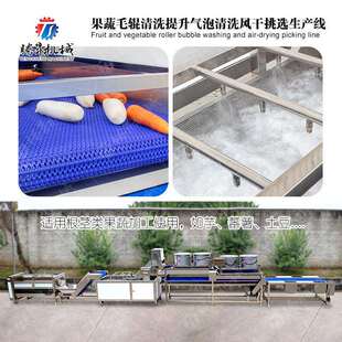 毛辊机风干机清洗机果蔬毛辊清洗提升气泡清洗风干挑选生产线