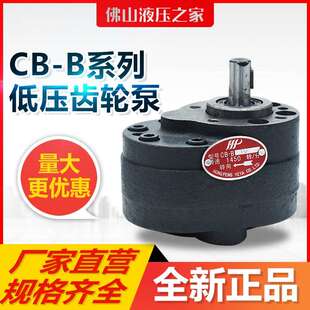 液压齿轮泵CB B10 B25 B16 B32 B20 B50 B80机械油泵 B63 B40