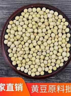 熟黄豆散装低温烘培现磨豆浆磨粉原料五谷杂粮打豆浆专用豆子5斤