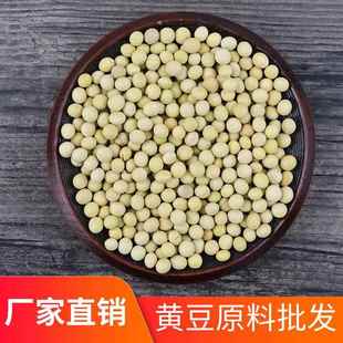 熟黄豆散装低温烘培现磨豆浆磨粉原料五谷杂粮打豆浆专用豆子5斤