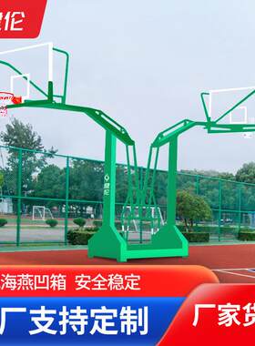 健伦篮球架户外室外标准篮球框成人学校球馆海燕式双翼凹箱工程款
