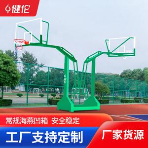 健伦篮球架户外室外标准篮球框成人学校球馆海燕式双翼凹箱工程款