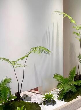 侘寂风仿真植物盆栽金丝猴蕨中式景观绿植盆景金毛狗蕨客厅绿植