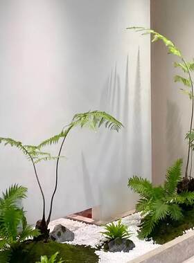 侘寂风仿真植物盆栽金丝猴蕨中式景观绿植盆景金毛狗蕨客厅绿植