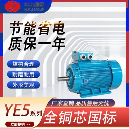 山东电机YE5/YE3一级能效HM4/2/YVF2/变频45w三相异步电动机